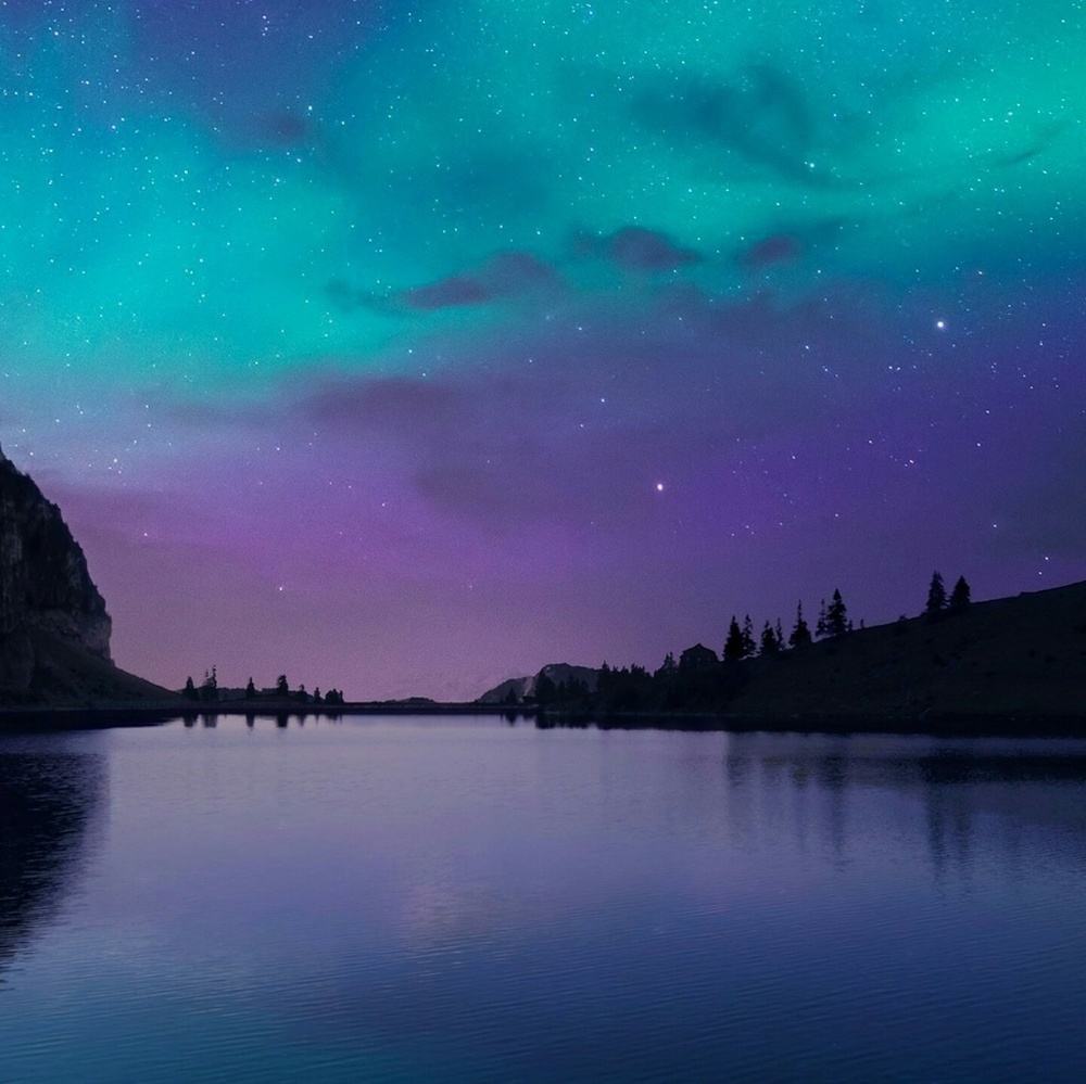 Meet your Posher, Tanya